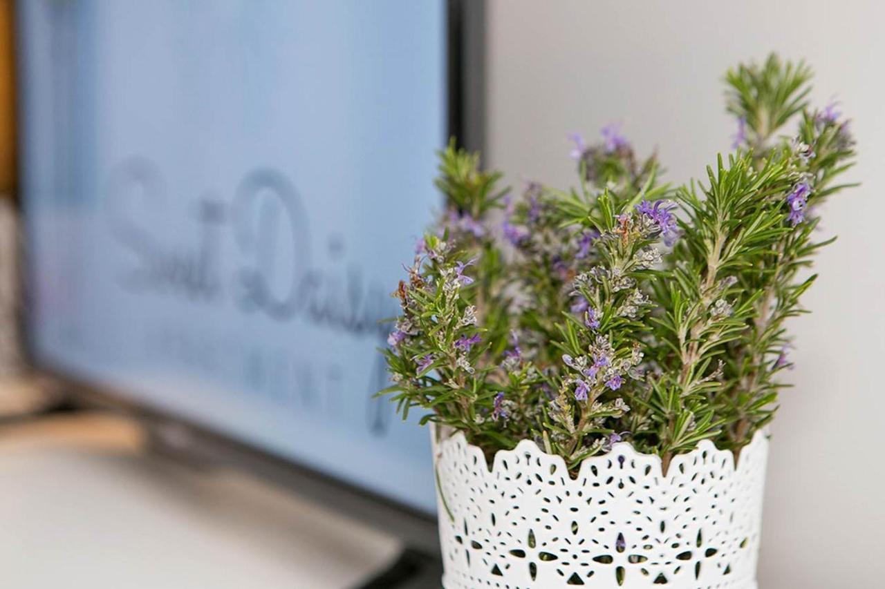 זאדאר Apartment Sweet Daisy With Parking מראה חיצוני תמונה